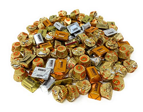 Hershey's Nuggets Miniature Peanut Butter Cup Chocolate 3 Lbs American Bulk Candy Mini Bars (48 oz)