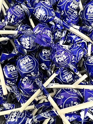 Tootsie Roll Grape Mini Pops Filled With Chewy Tootsie Roll Candy - Single Flavor Variety Bulk Value Pack 75+ Count Lollipops Suckers 1 Lbs (16 Oz)